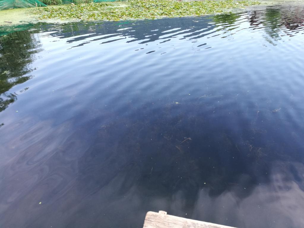 House Boat Hardy Palace Srīnagar Екстериор снимка